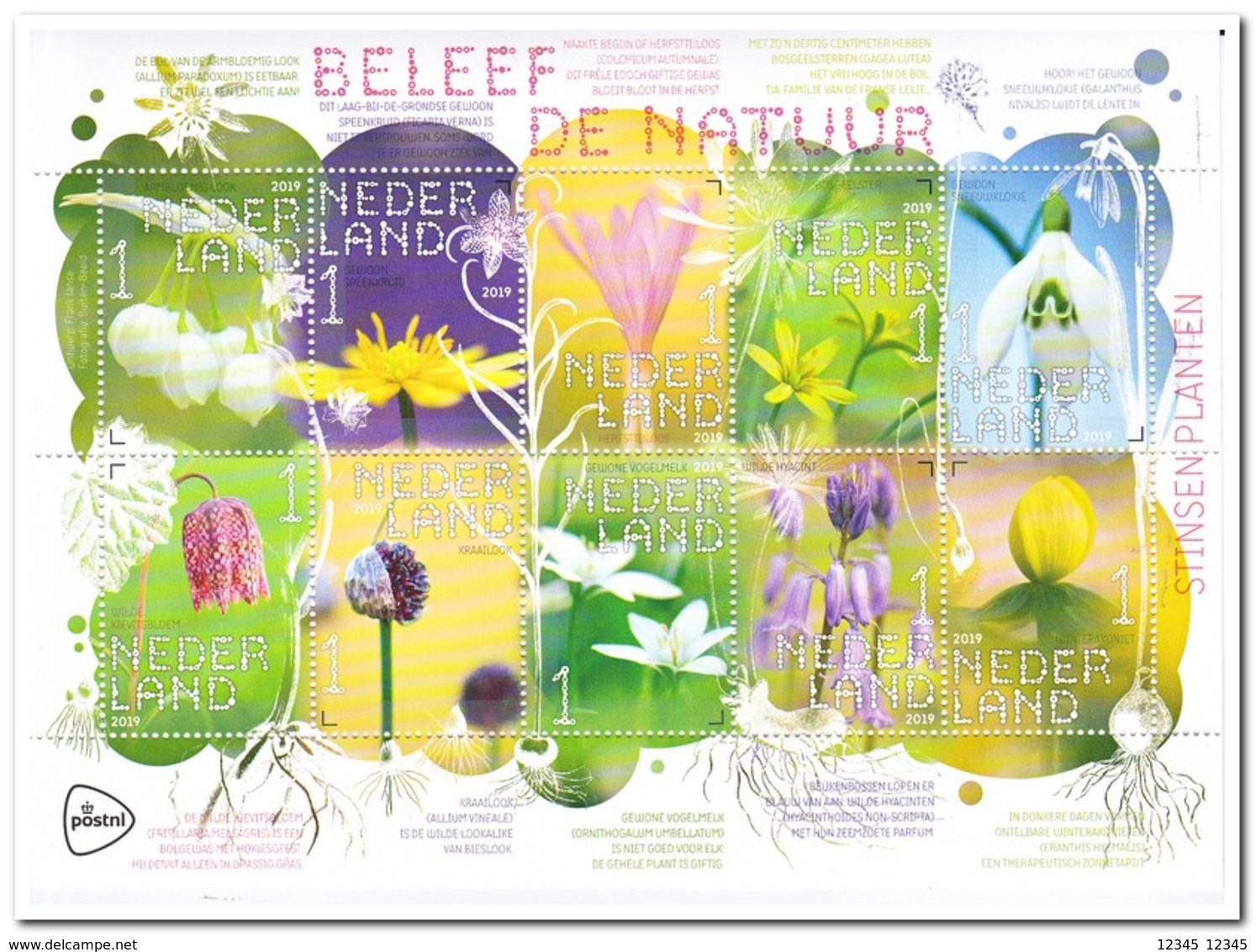 Nederland 2019, Postfris MNH, Nature, Flowers - Ungebraucht