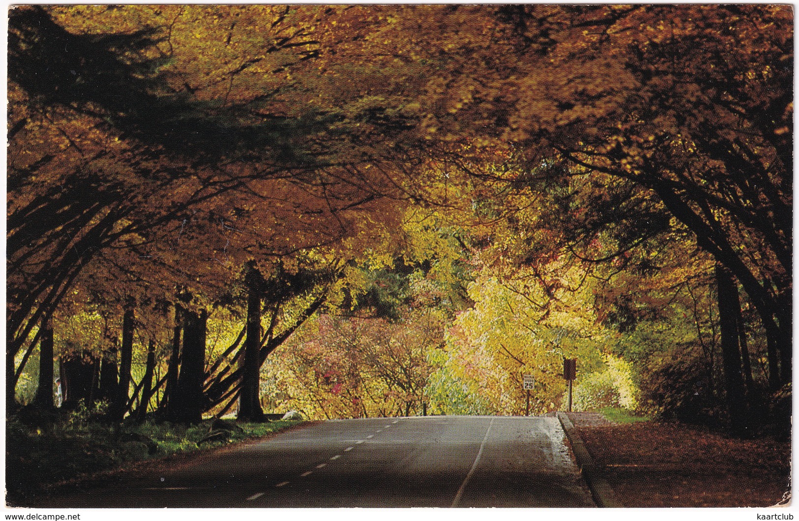 Vancouver - Stanley Park  - (B.C., Canada) - Vancouver