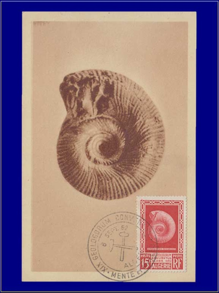 Algérie, Carte Maximum, Fossile - Cartes-maximum