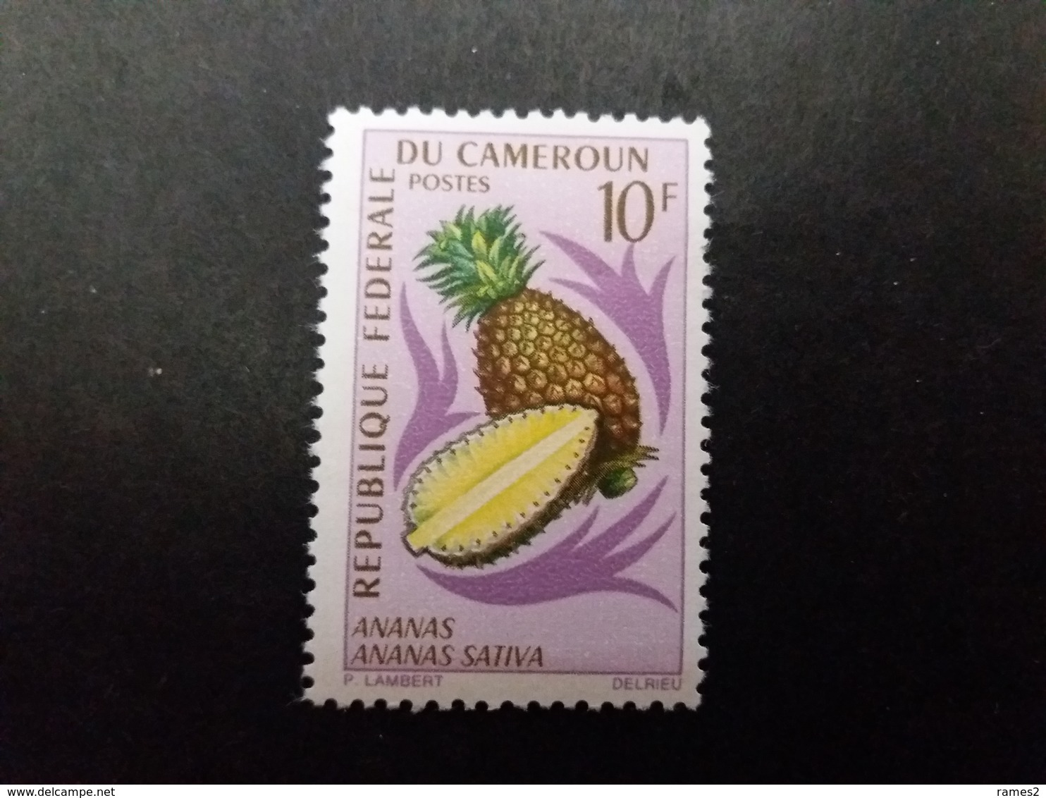 Afrique > Cameroun (1960-...) N° 448 ** - Cameroon (1960-...)