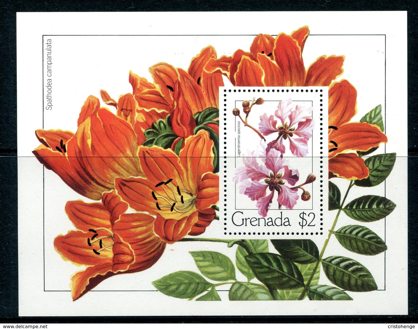 Grenada 1979 Flowers MS MNH (SG MS989) - Grenada (1974-...)