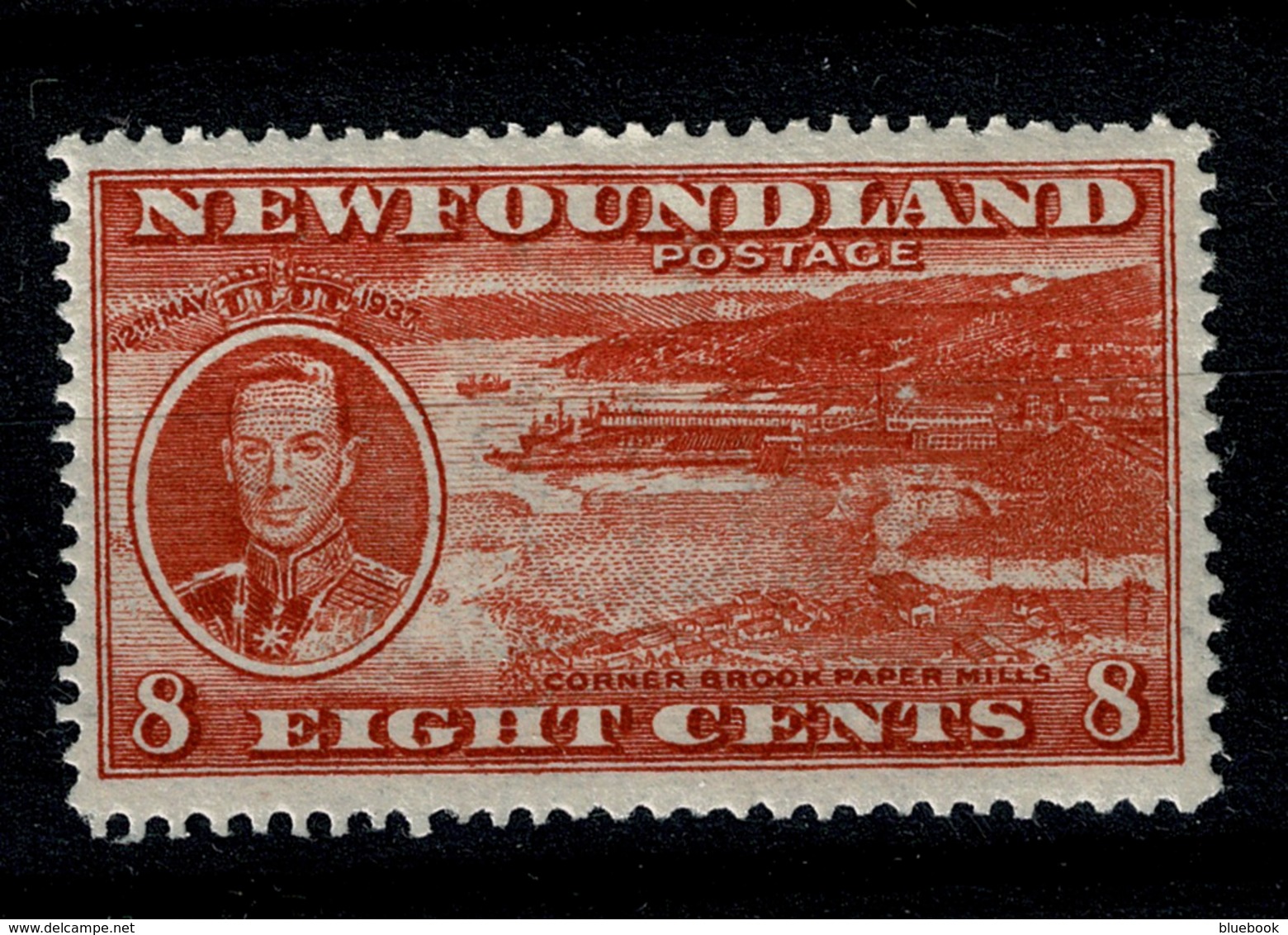 Ref 1289 - Canada Newfoundland 1937 Coronation 8c - SG 260 MNH Stamp - 1908-1947