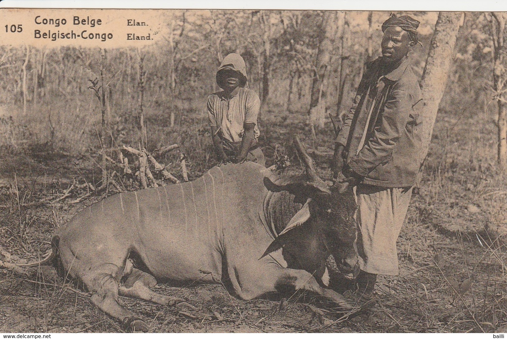 Congo Belge Entier Postal Illustré 1924 - Entiers Postaux