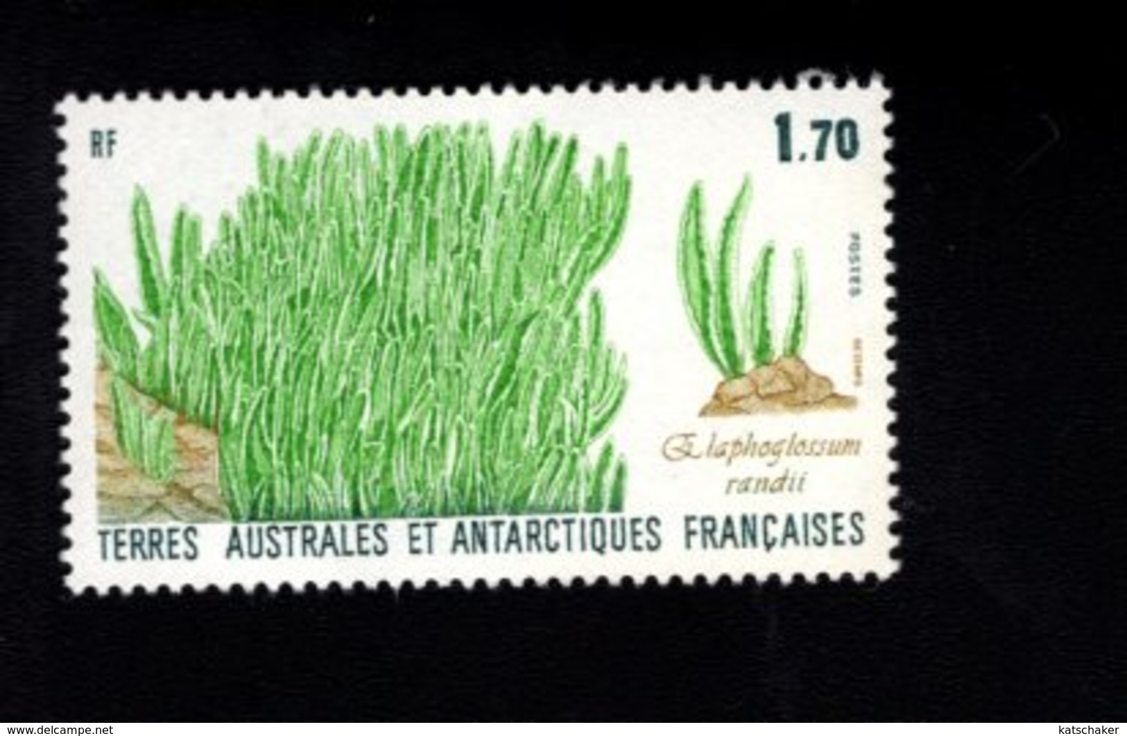 762539339 1988 SCOTT 133 POSTFRIS  MINT NEVER HINGED EINWANDFREI  (XX) FLORA ELEPHANT GRASS - Neufs