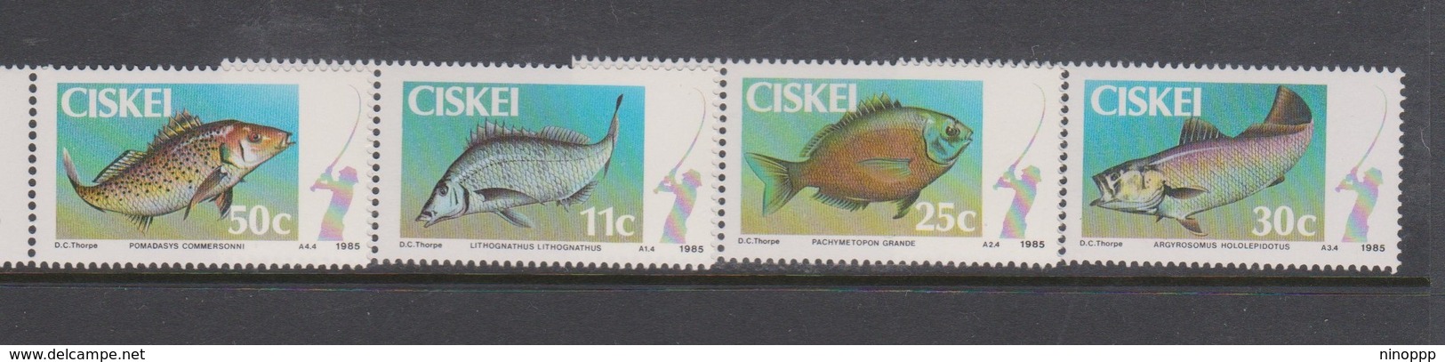 South Africa-Ciskei Scott 69-72 1985 Game Fish, Mint Never Hinged - Ciskei