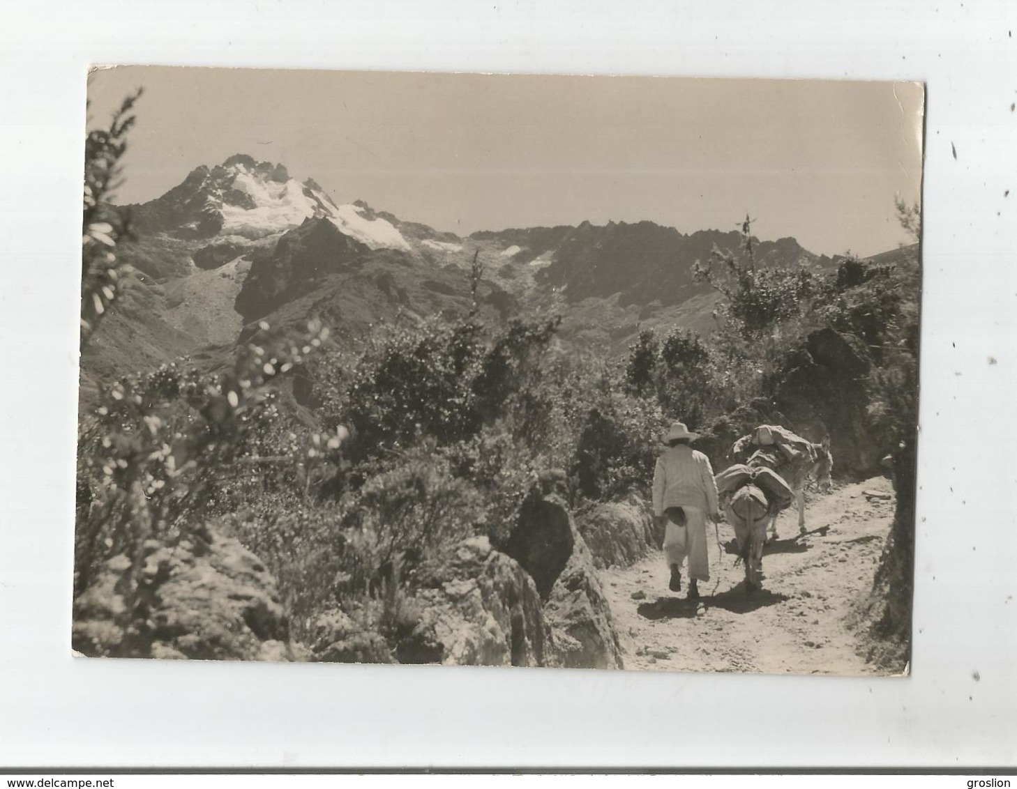 VENEZUELA SIERRA NEVADA DE MERIDA CAMINO HACIA E PICO BOLIVAR (M 5007) 1958 - Venezuela