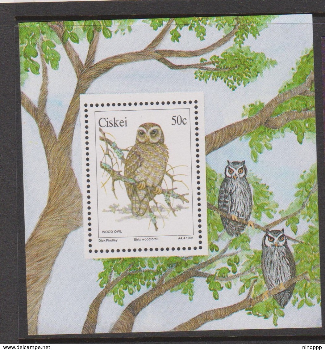 South Africa-Ciskei Scott 166a 1991 Owl, Miniature Sheet, Mint Never Hinged - Ciskei