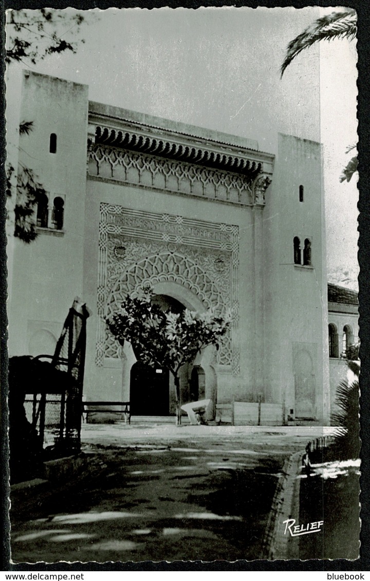 Ref 1292 - Real Photo Postcard - Parc De Galland Le Musee Alger - Algeria Ex France Colony - Algiers