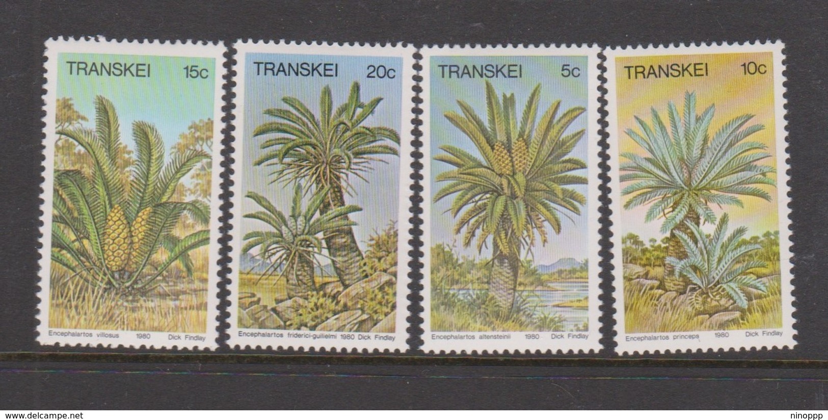 South Africa-Transkei SG 71-74 1980 Cycads, Mint Never Hinged - Transkei