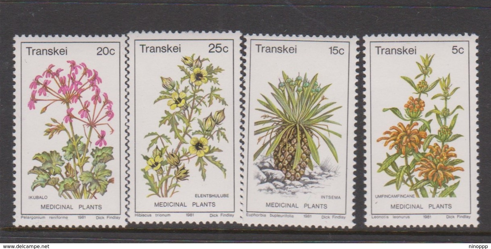 South Africa-Transkei SG 88-91 1981 Medicinal Plants, Mint Never Hinged - Transkei