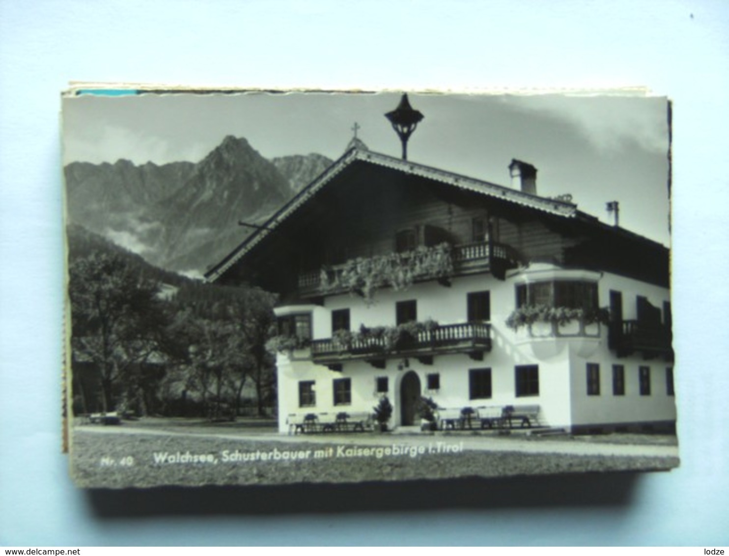 Oostenrijk Österreich Tirol Walchsee Schusterbauer Mit Kaisergebirge - Andere & Zonder Classificatie