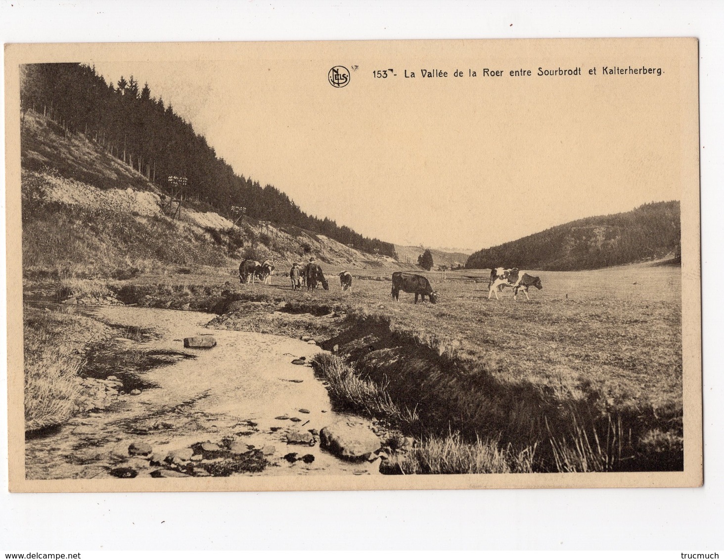 17 - Haute Fagne Série : La Roer - La Vallée De La Roer Entre Sourbrodt Et Kalterherberg - Waimes - Weismes