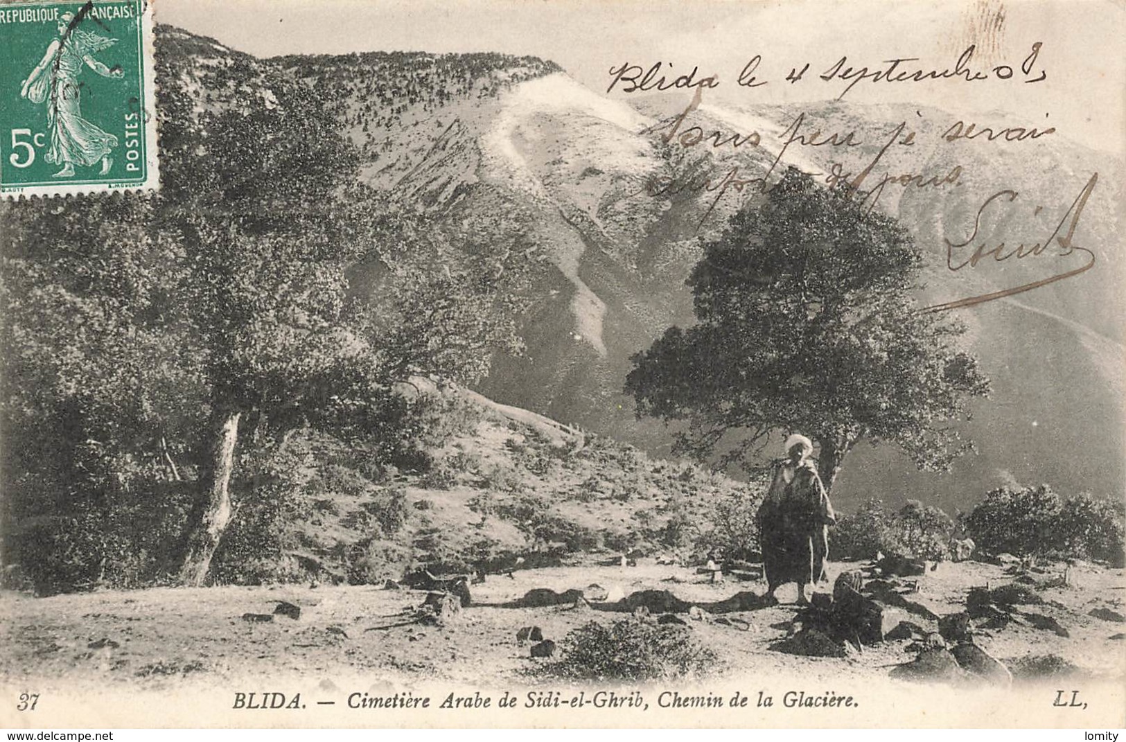 Algerie Blida Cimetiere De Sidi El Ghrib Chemin De La Glaciere Cpa Carte Animée - Blida