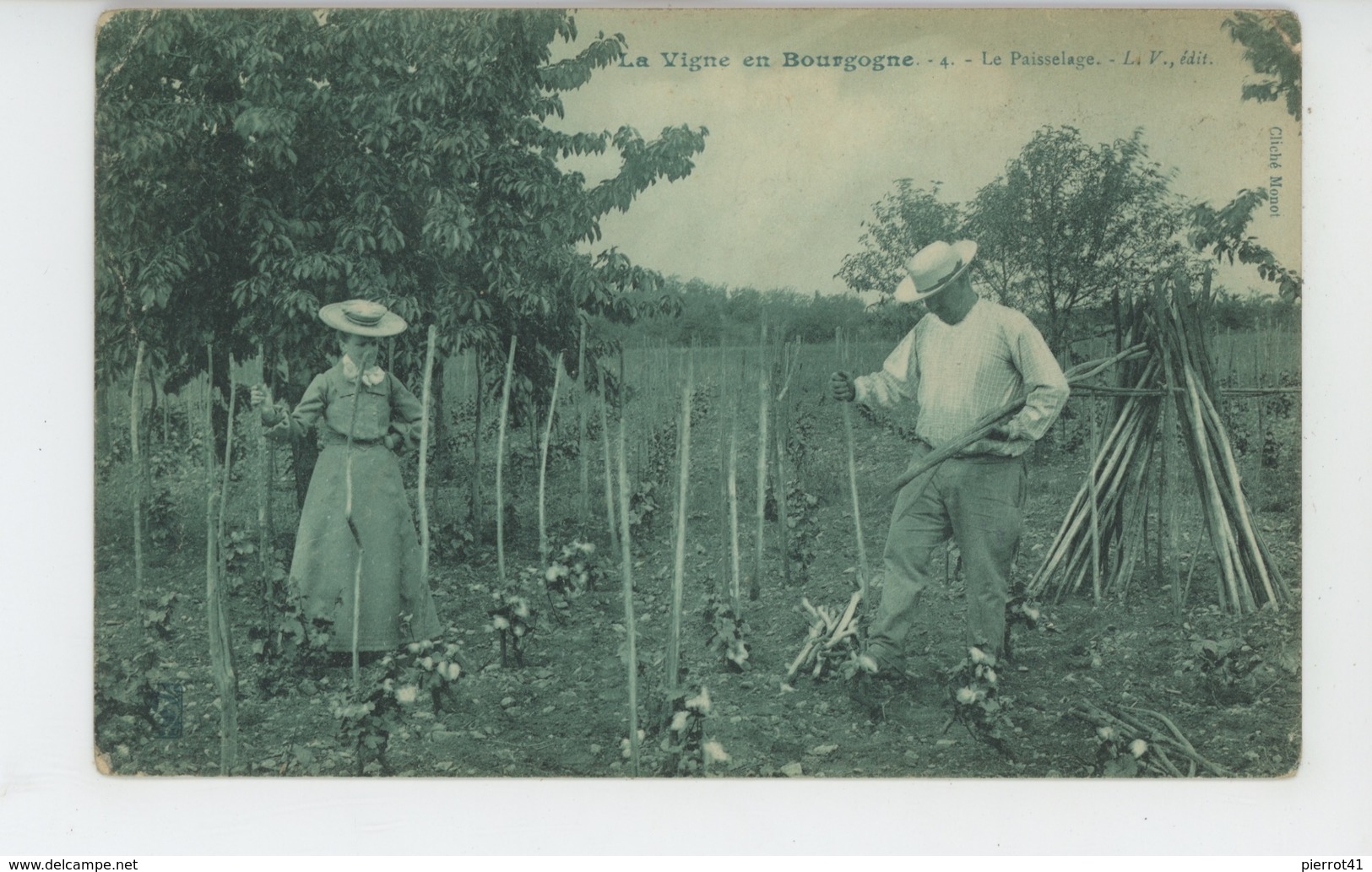 LA VIGNE EN BOURGOGNE - Le Paisselage  (carte écrite à FAUVERNEY En 1917) - Other & Unclassified