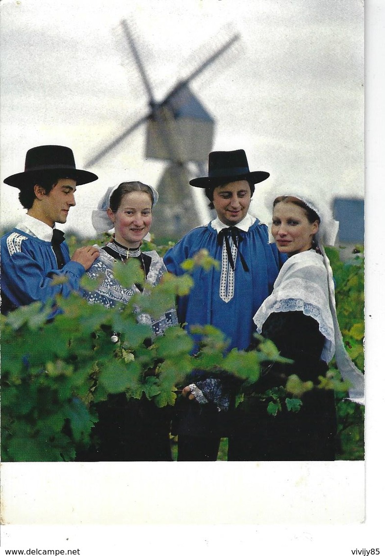 49 - FONTEVRAUD - T.B. Vue Animée Du Groupe Folklorique " Les Genêts D'Anjou " ( Moulin ) - Autres & Non Classés