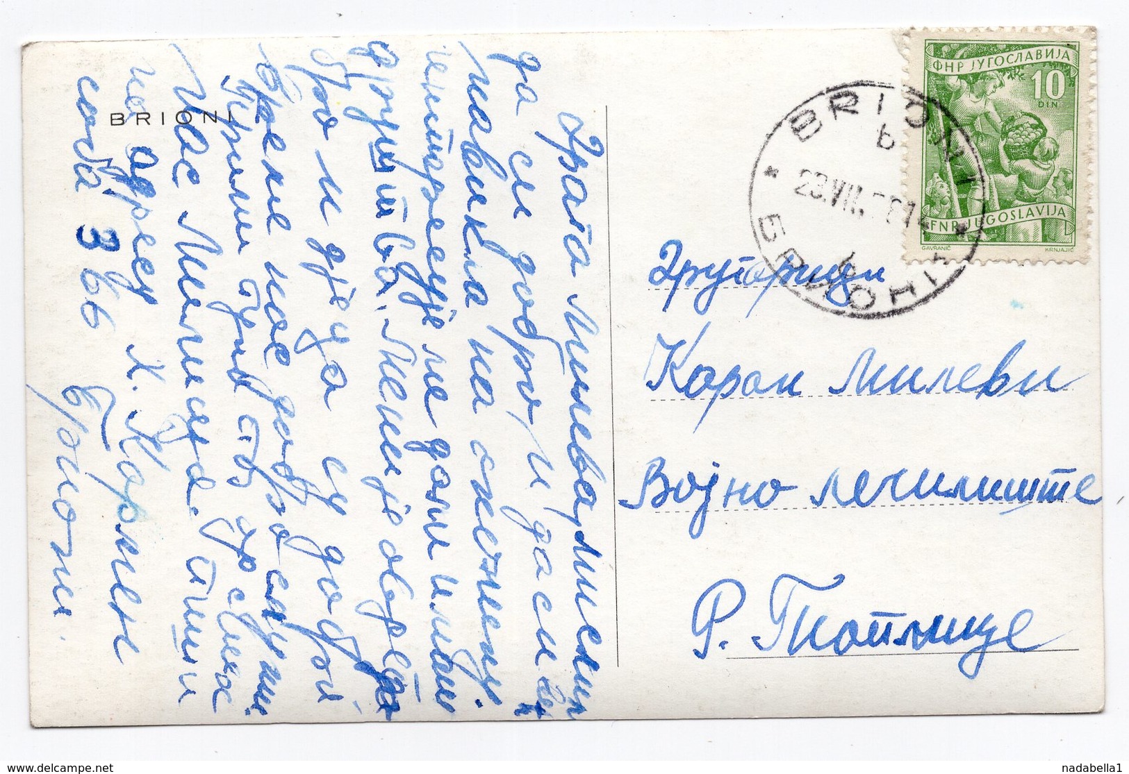 1958 YUGOSLAVIA, CROATIA, BRIONI ISLAND, POSTCARD, USED - Yugoslavia