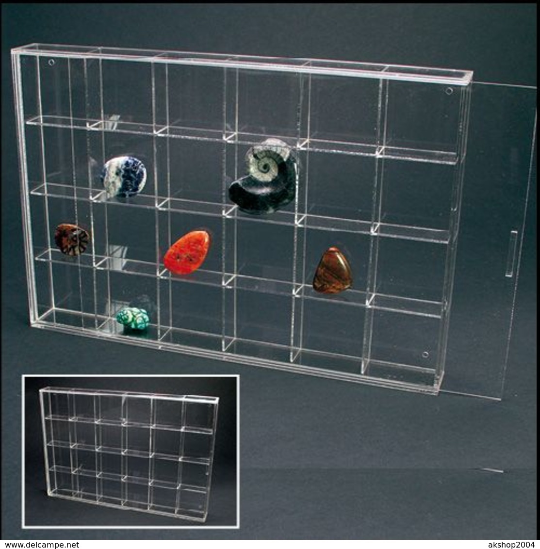 Safe Klein-Vitrine Aus Acryl-Glas - 24 Fächer - Fossilien