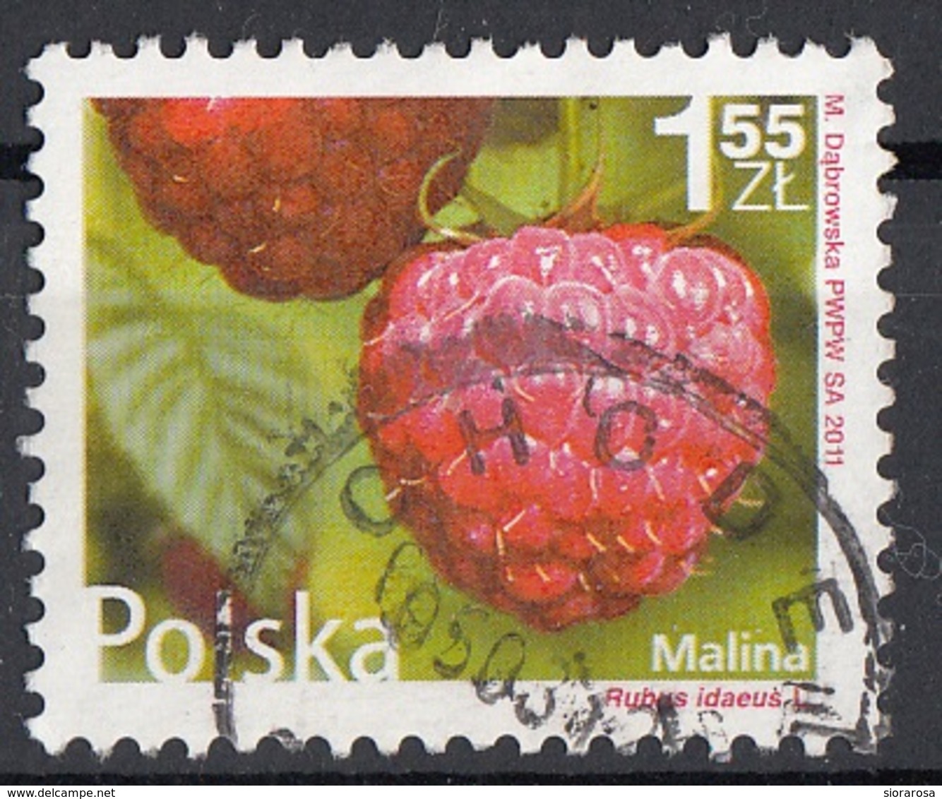 Polonia  2011 Sc. 4029 Lampone - Rubus Idaeus Used Poland Polska - Fruits