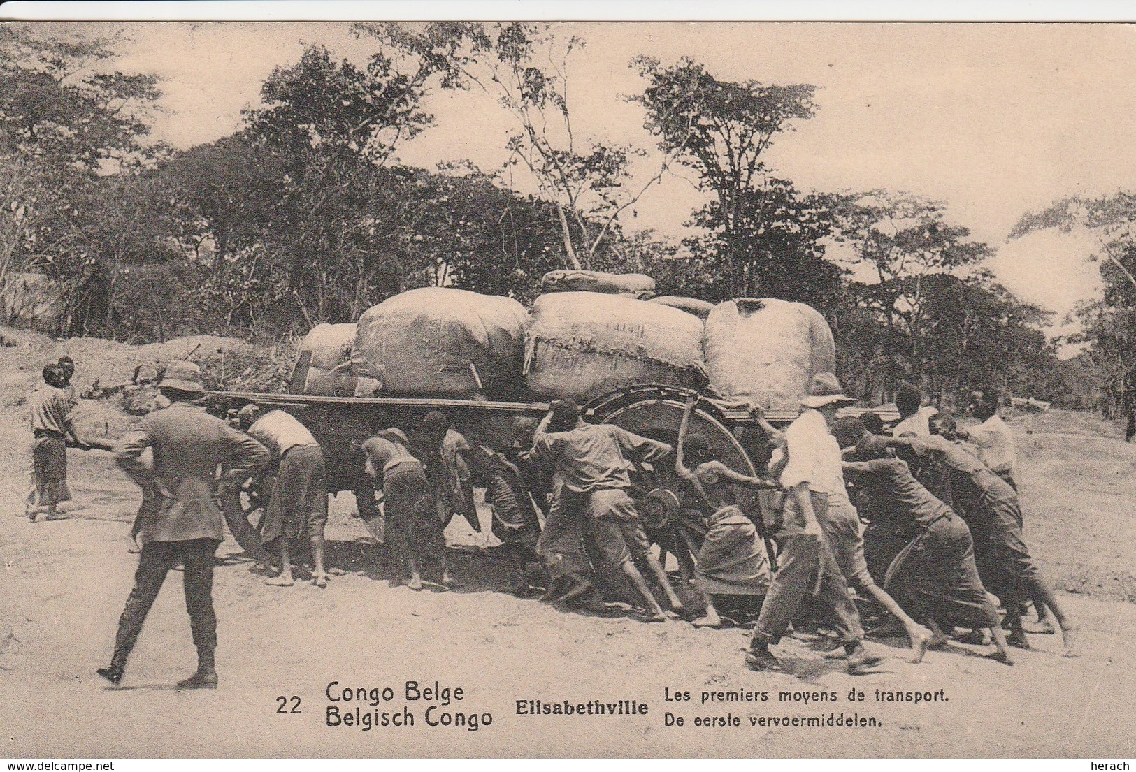 Congo Belge Entier Postal Illustré Pour La Belgique 1913 - Interi Postali