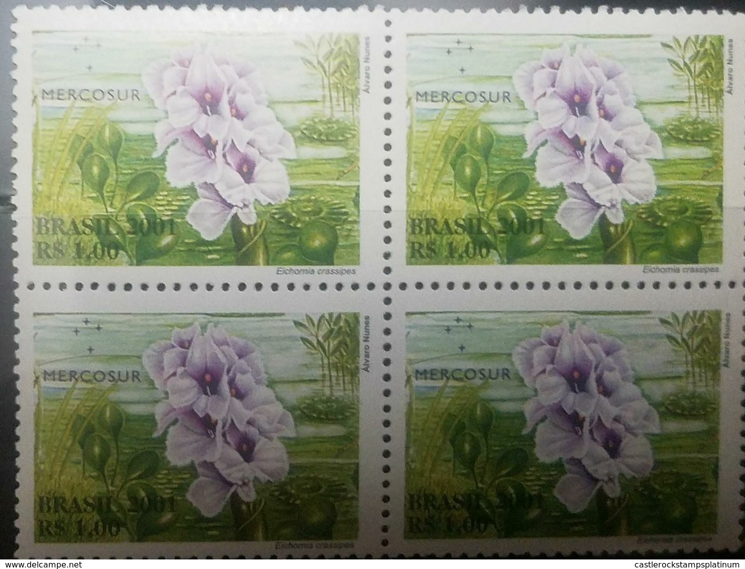 O) 2001 BRAZIL. MERCOSUR-PANTANAL FLORA -EICHORNIA, MNH - Neufs