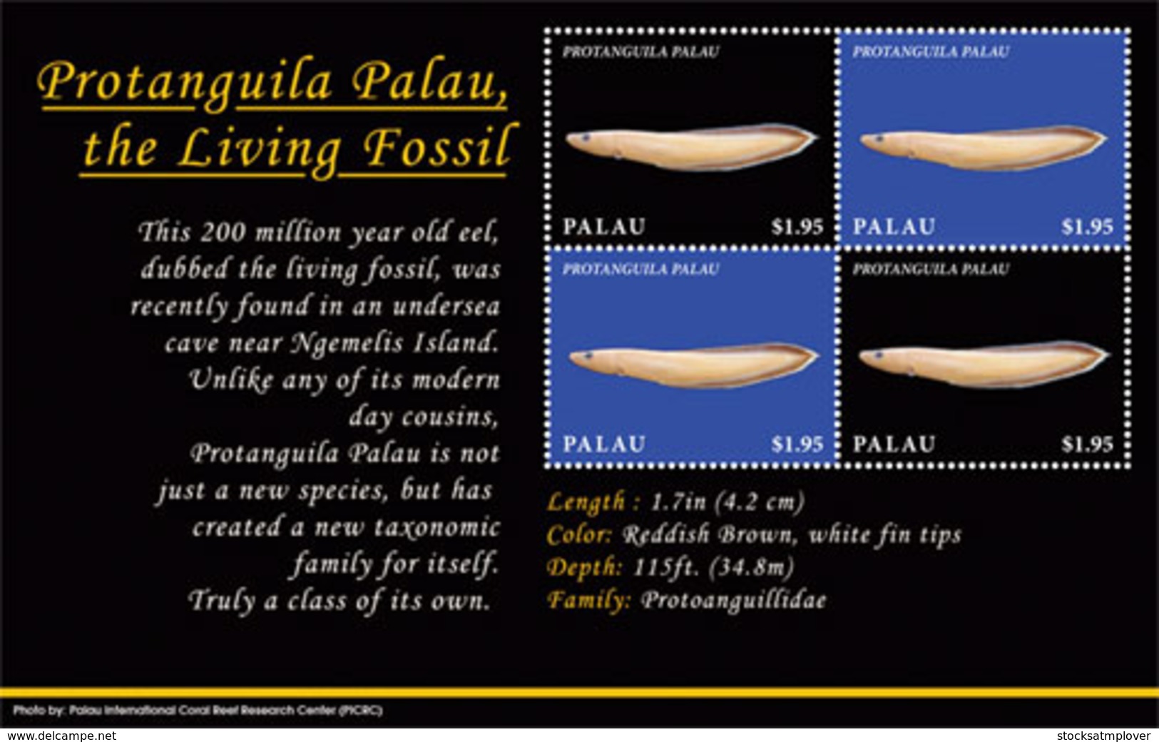 Palau 2019  Protanguilla  Palau , The Living Fossil I201901 - Palau