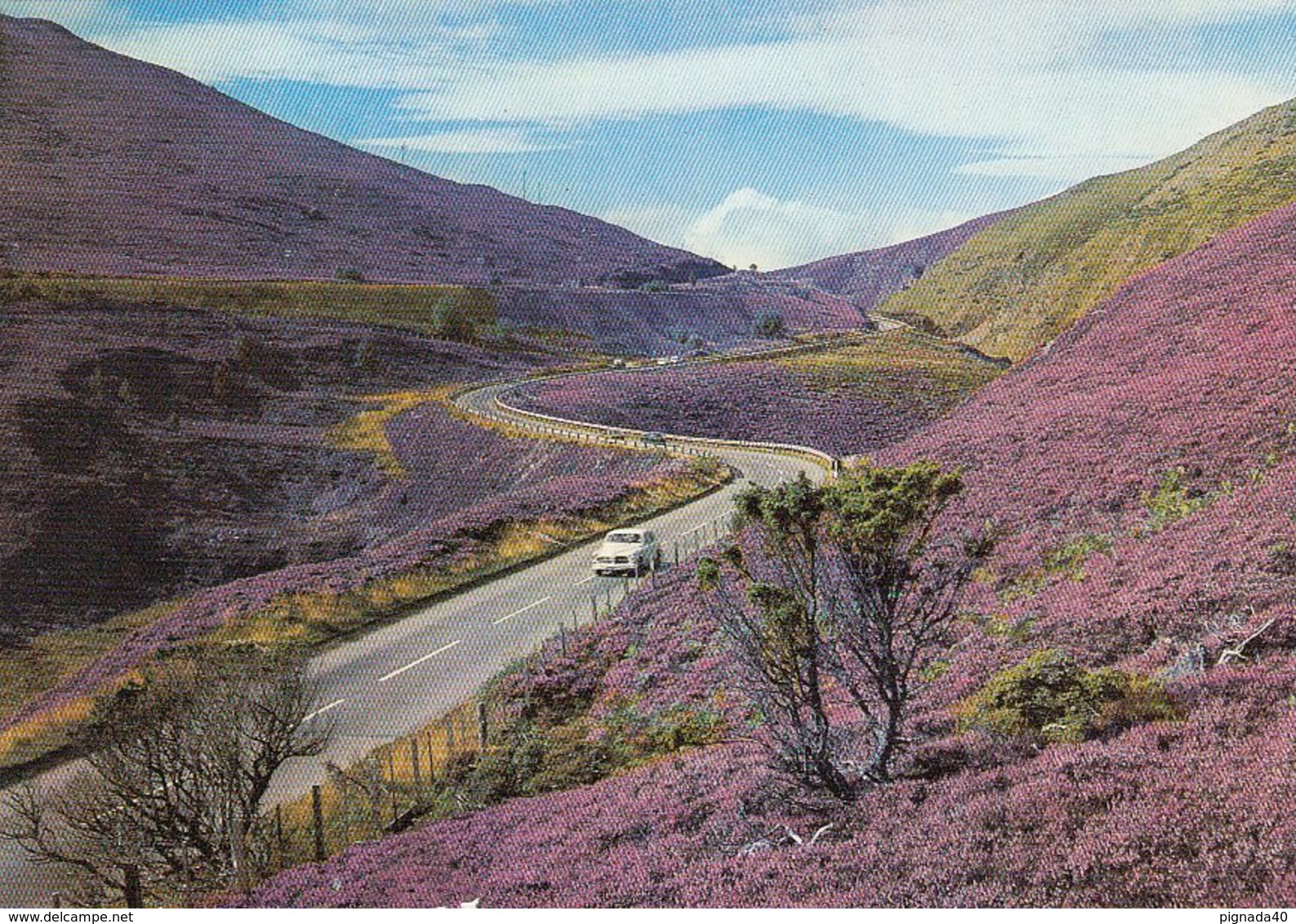Cp , ECOSSE , The Slochd Pass Between CARRBRIDGE And INVERNESS - Inverness-shire