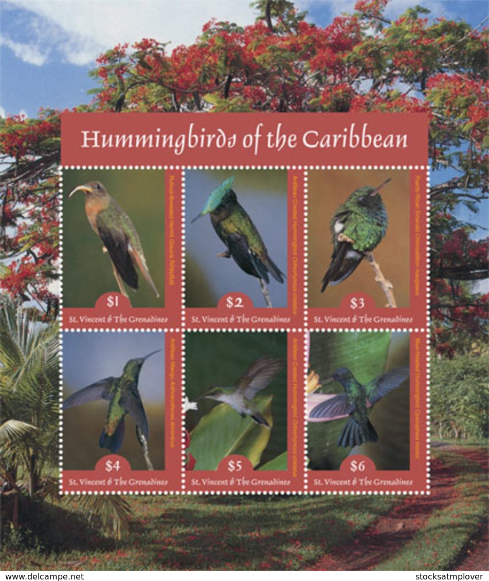 St. Vincent 2019 Fauna Hummingbirds Of The Caribbean  I201901 - St.Vincent E Grenadine