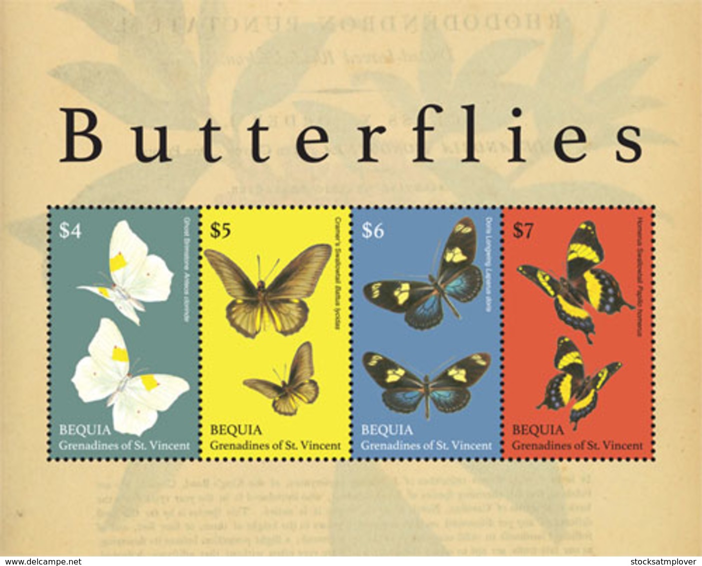 Bequia , Grenadines  Of St. Vincent 2019  Fauna Butterflies I201901 - St.Vincent & Grenadines