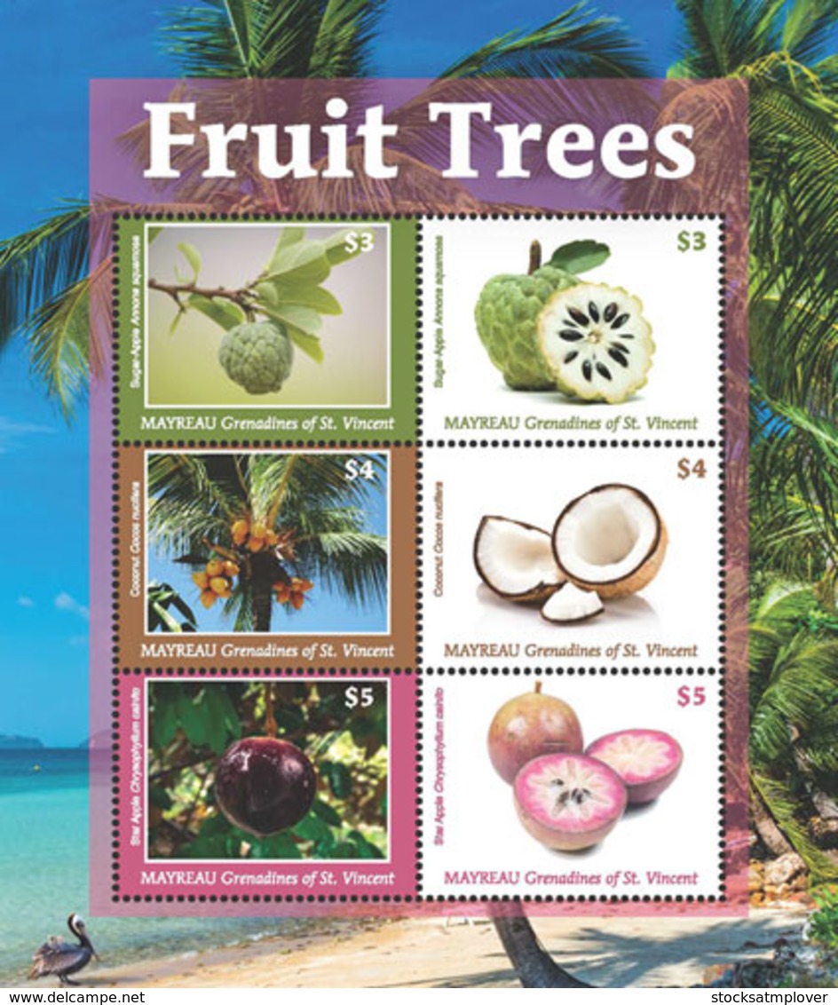 Mayreau  , Grenadines  Of St. Vincent 2018  Fruit Trees   I201901 - St.Vincent & Grenadines