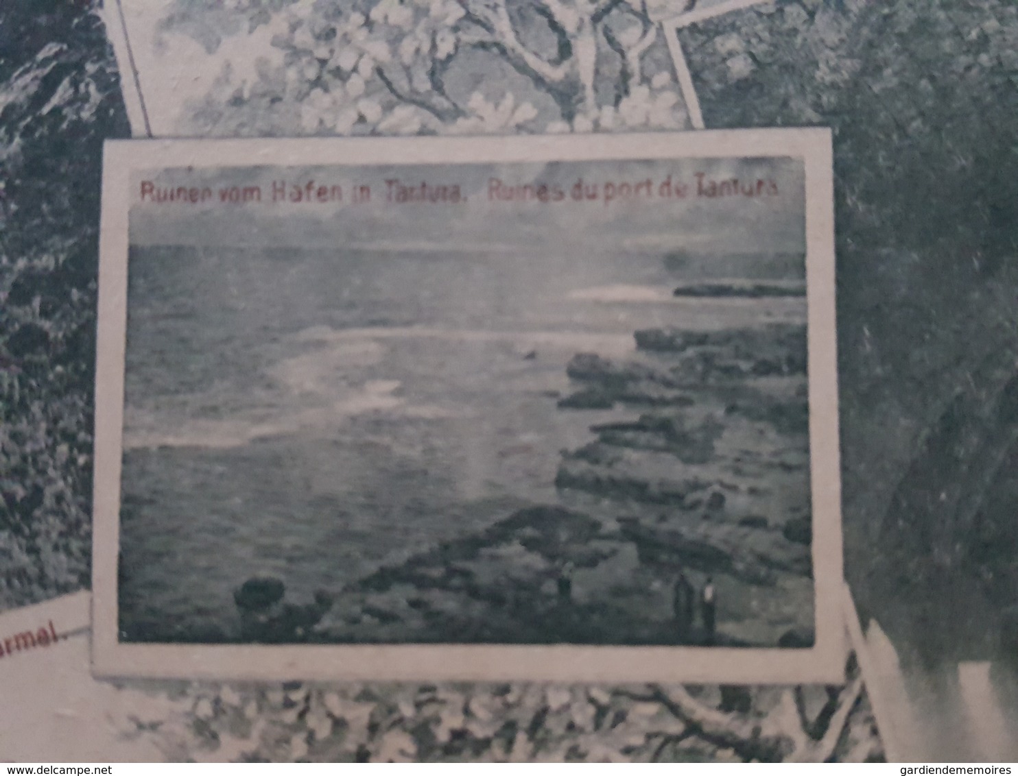 Salutations De La Paléstine - Keller In Athlith / Atlit, Cave - Ruines Du Port De Tantura - Grotte D'Elie Sur Le Carmel - Palestina