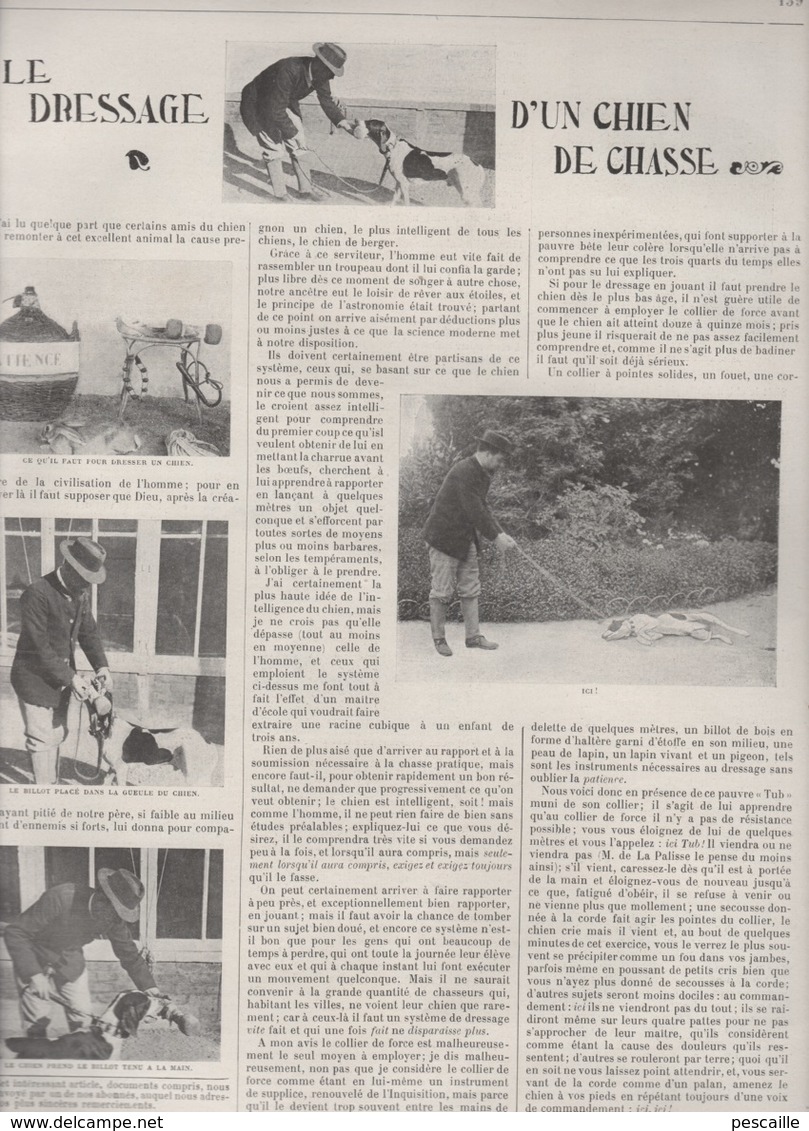 VIE AU GRAND AIR - 15 09 1898 TENNIS ETRETAT - NATATION SEINE PARIS - DRESSAGE CHIEN DE CHASSE - CYCLISME INTER-MAGASINS