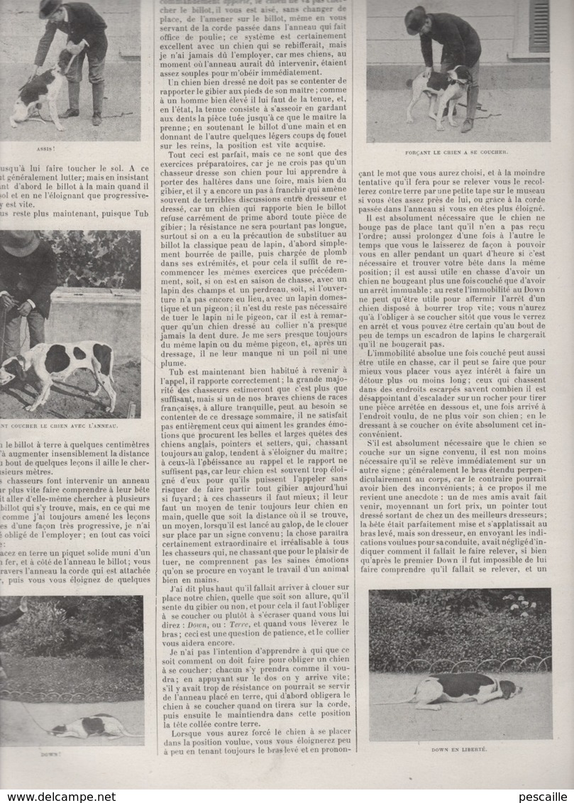 VIE AU GRAND AIR - 15 09 1898 TENNIS ETRETAT - NATATION SEINE PARIS - DRESSAGE CHIEN DE CHASSE - CYCLISME INTER-MAGASINS