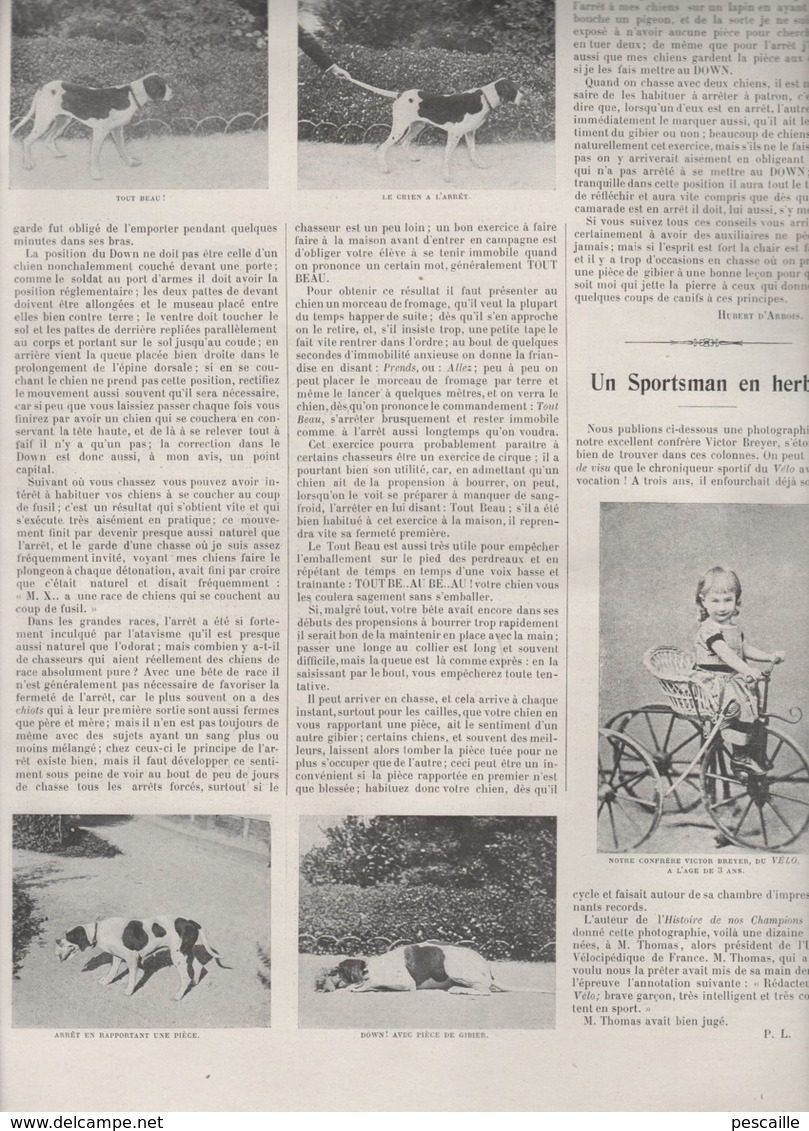 VIE AU GRAND AIR - 15 09 1898 TENNIS ETRETAT - NATATION SEINE PARIS - DRESSAGE CHIEN DE CHASSE - CYCLISME INTER-MAGASINS