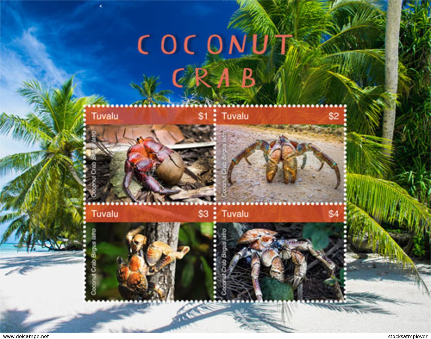 Tuvalu 2018  Fauna Coconut Crab I201901 - Tuvalu