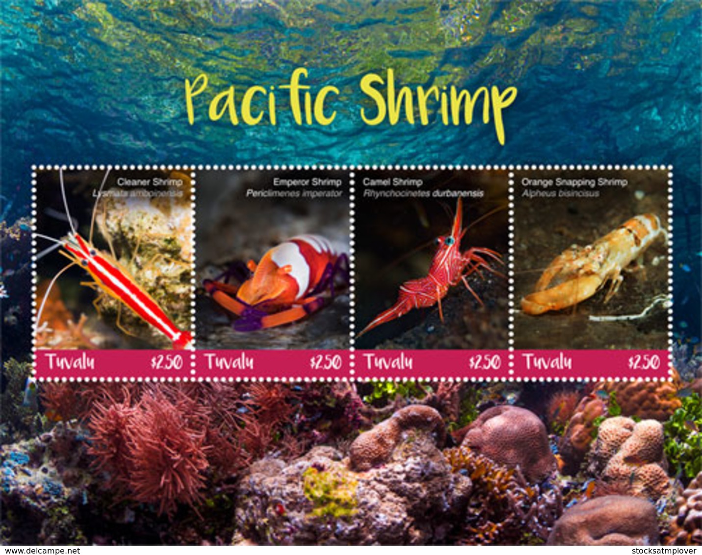 Tuvalu 2018  Fauna  Pacific  Shrimp I201901 - Tuvalu