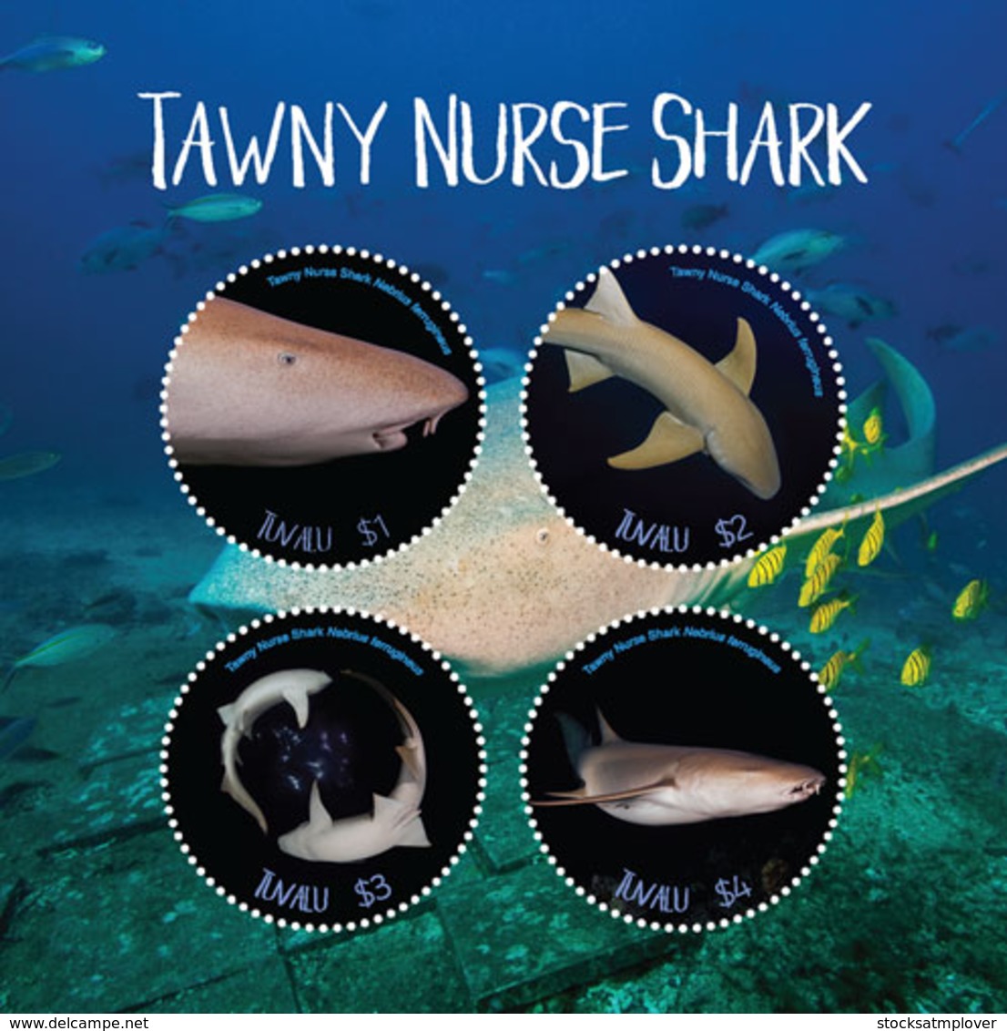 Tuvalu 2018 Fauna  Tawny Nurse Shark ,fishes  I201901 - Tuvalu