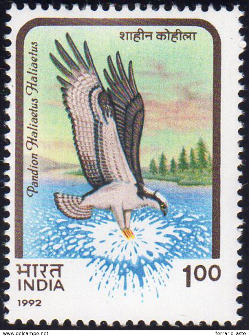 INDIA 1992 - 1 R. Pandion Haliaetus, Serie Uccelli, Errore Di Cifra 1 Anziché 2 (S.G.N. 1525a), Nuov... - Altri & Non Classificati
