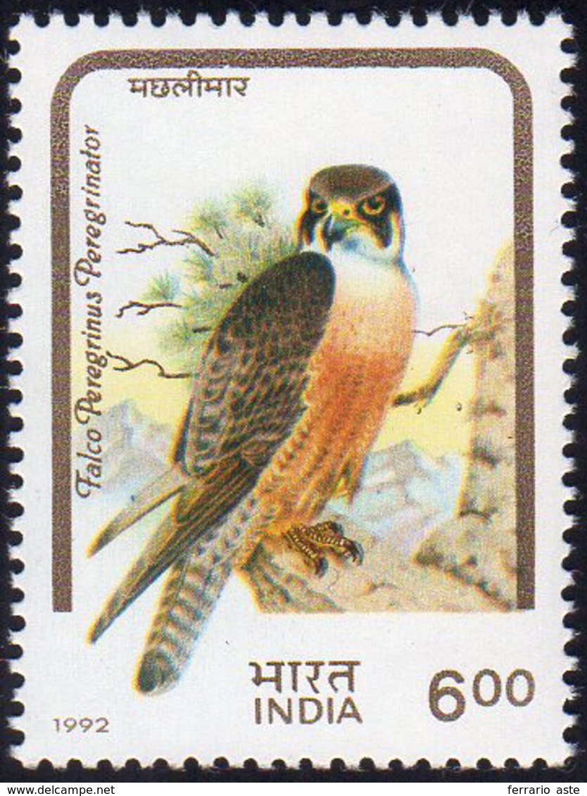 INDIA 1992 - 6 R. Falco Peregrinus, Serie Uccelli, Dicitura Errata In Indiano Pandion Haliaetus, Anz... - Altri & Non Classificati