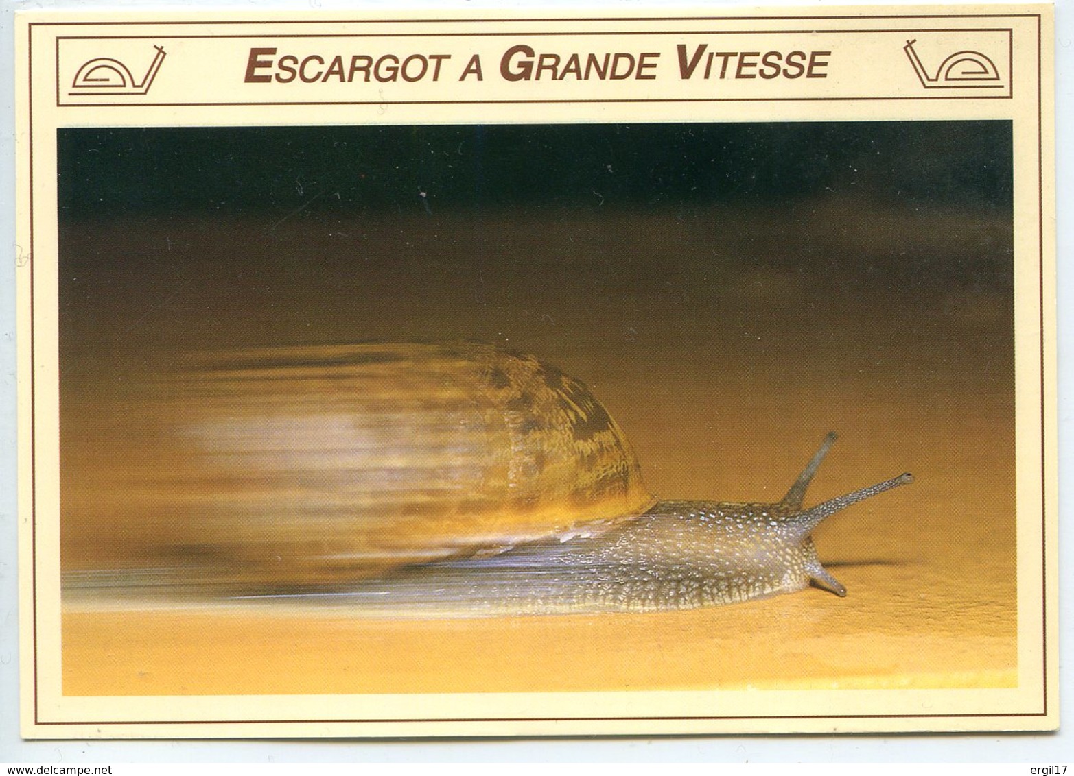 81440 LAUTREC Musée De L’escargot Et élevage - Lot De 2 CPM - Voir Détails Dans La Description - Elevage