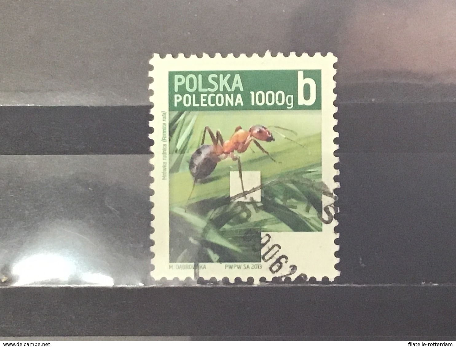 Polen / Poland - Insecten (1000g) 2013 - Gebruikt