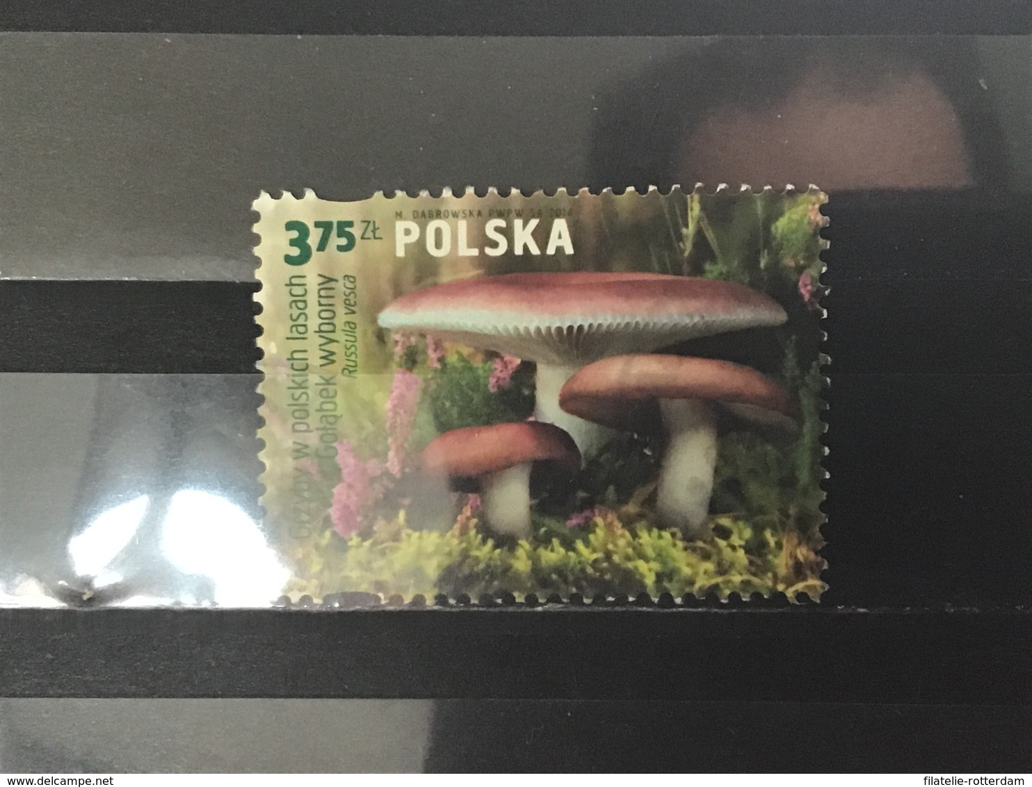 Polen / Poland - Paddenstoelen (3.75) 2014 - Gebruikt