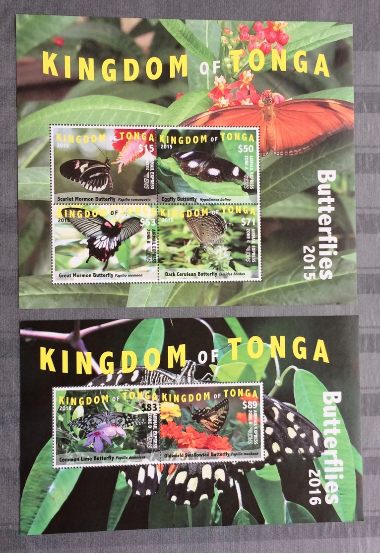 Tonga 2015; Animals &  Fauna, Insects, Butterflies; MNH, Neuf**, Postfrisch!! CV 390 Euro!! - Tonga (1970-...)