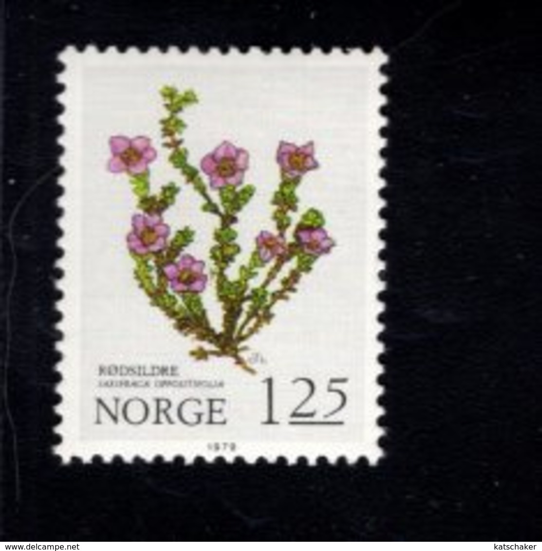762998885 1980 SCOTT 756 POSTFRIS  MINT NEVER HINGED EINWANDFREI  (XX)  MOUNTAIN FLOWER - Unused Stamps