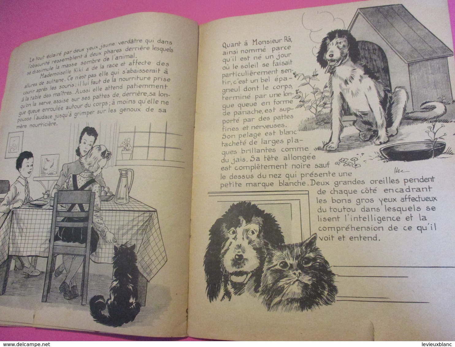 LOUIS PLATEL/Contes Pour Les Enfants/Le Sifflet Magique/Deux Bons Amis/Denise Collot/France-Edition Paris/1931     BD151 - Märchen