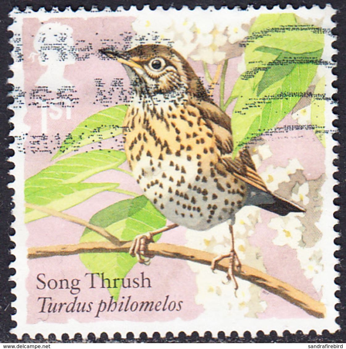 2017  Songbirds - Song Thrush 1st Class Stamp SG3954 - Used Stamps