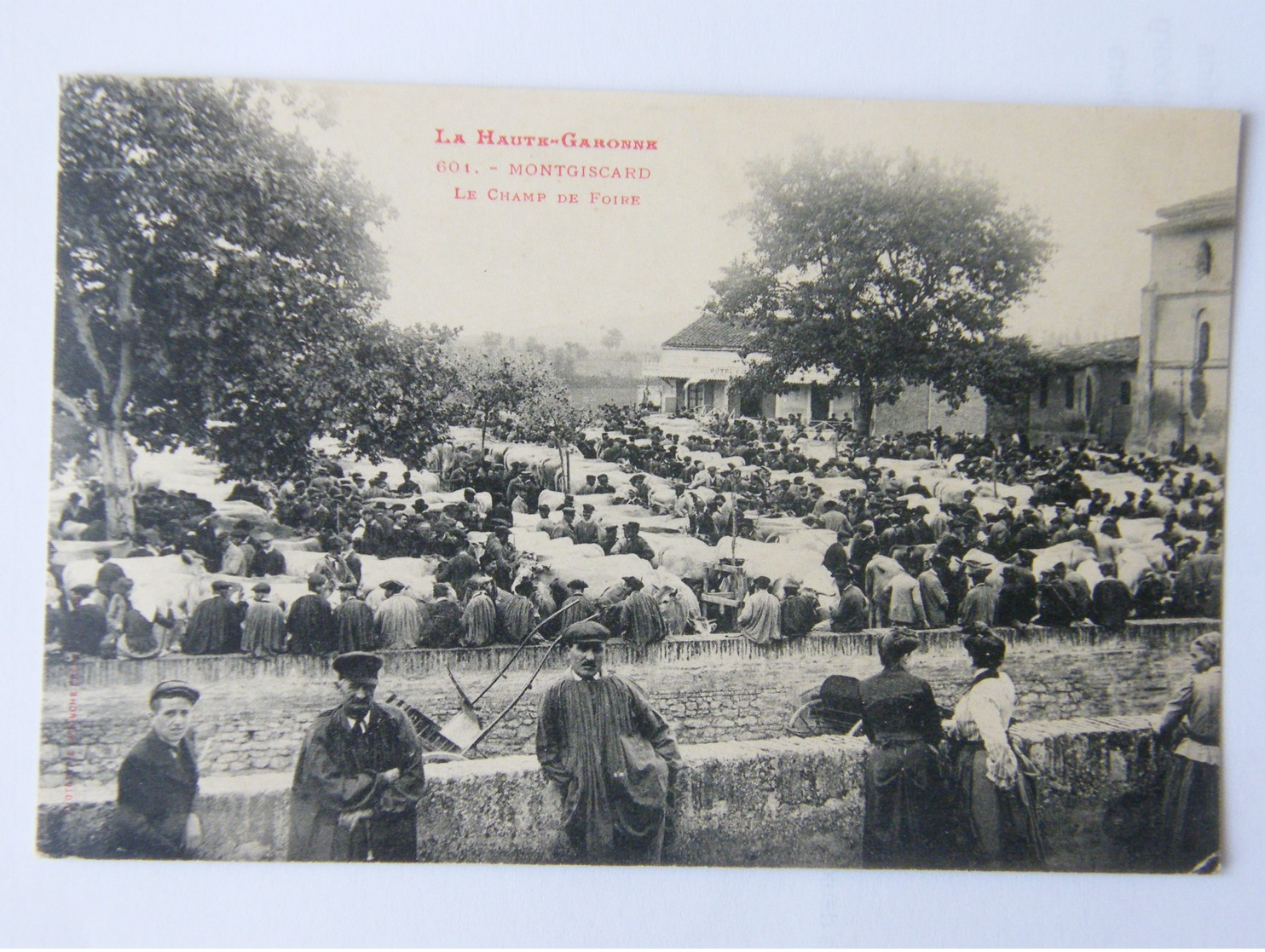 CPA Montgiscard Haute Garonne Le Champ De Foire Dos Non Divisé Et Non Circulé - Autres & Non Classés