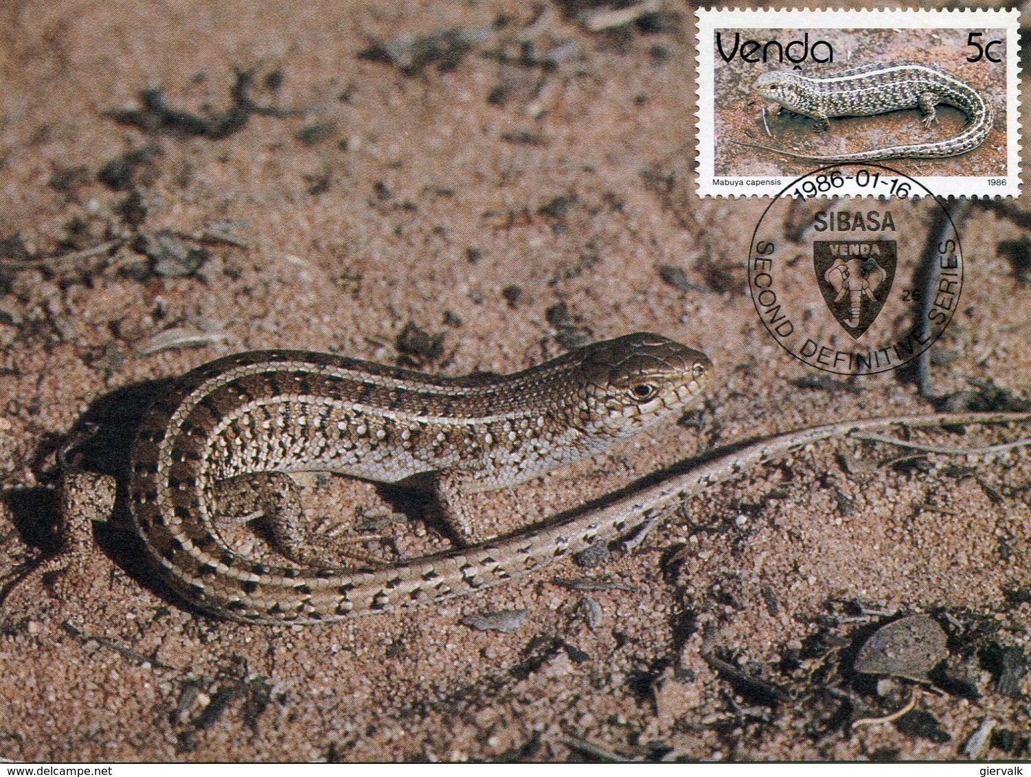 VENDA 1986 MAX.CARD With LIZARD.BARGAIN.!! - Andere & Zonder Classificatie