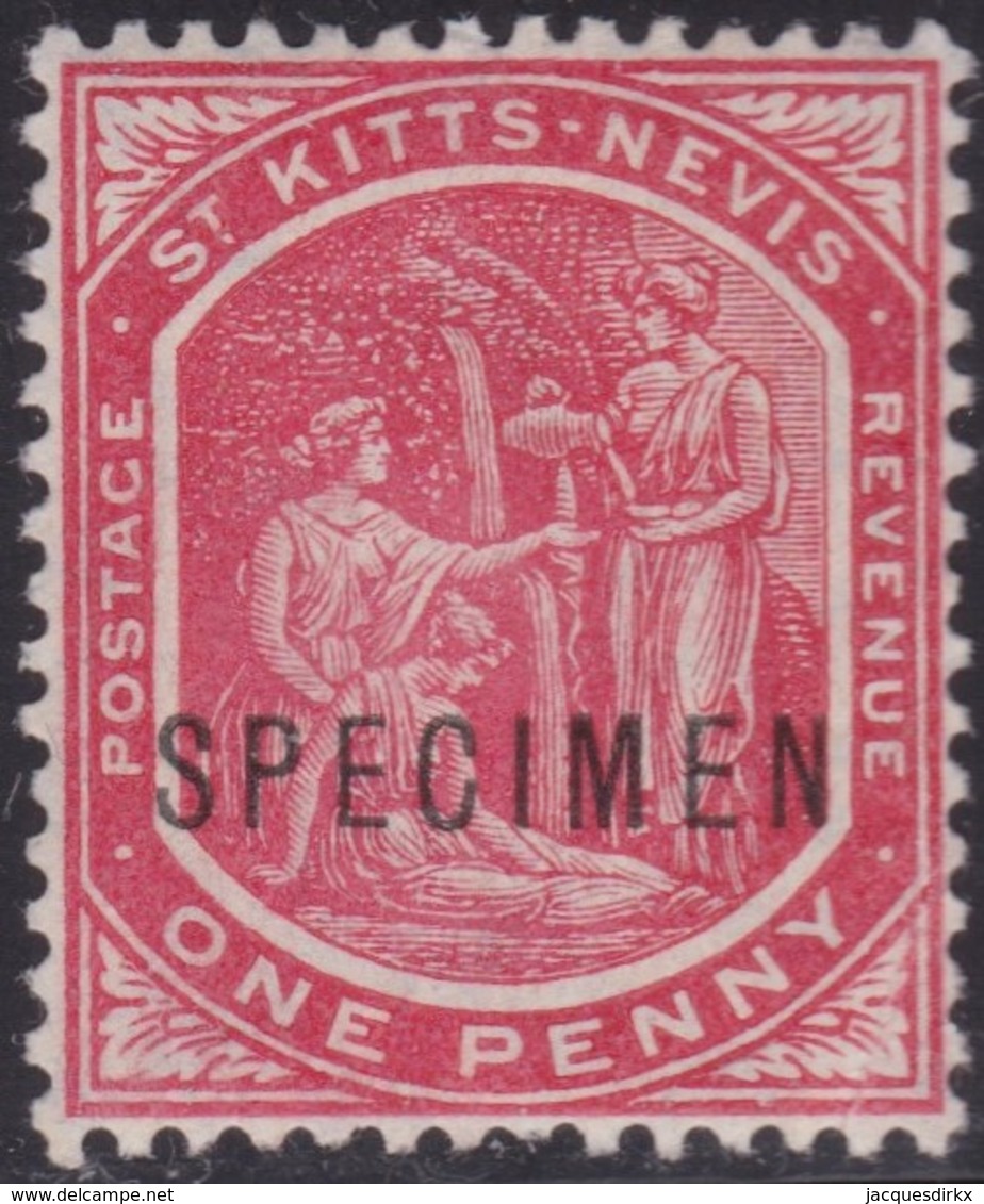 St Kitts-Nevis .   SG   .    145  Specimen     .     *     .    Mint-hinged    .   /    .  Ongebruikt - St.Christopher, Nevis En Anguilla (...-1980)