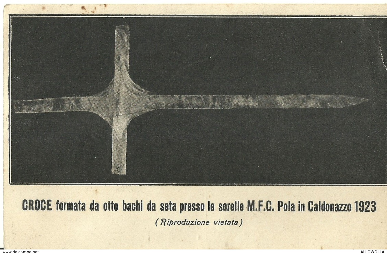 3425 "CROCE FORMATA DA OTTO BACHI DA SETA PRESSO LE SORELLE M.F.C.POLA IN CALDONAZZO 1923" CART. POST. ORIG. NON SPED. - Sonstige & Ohne Zuordnung