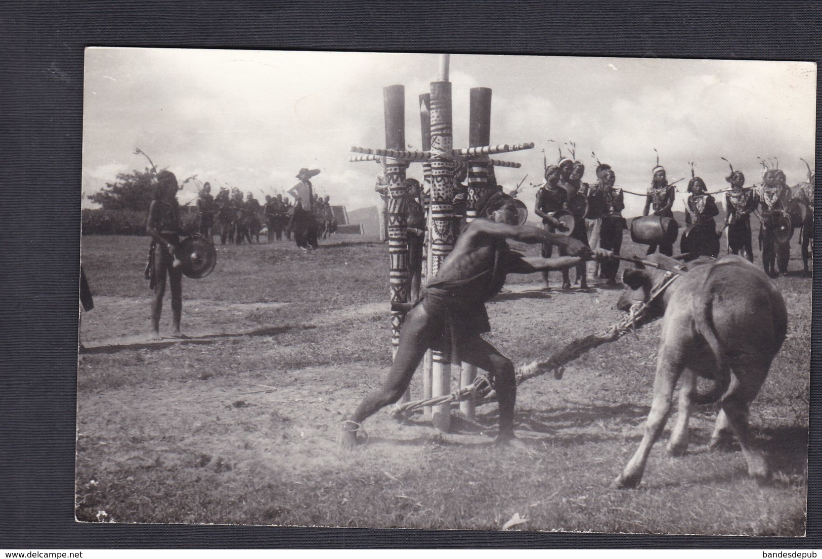 Carte Photo Indiens Indien Rites Vache Totem Musique - Indiens D'Amérique Du Nord